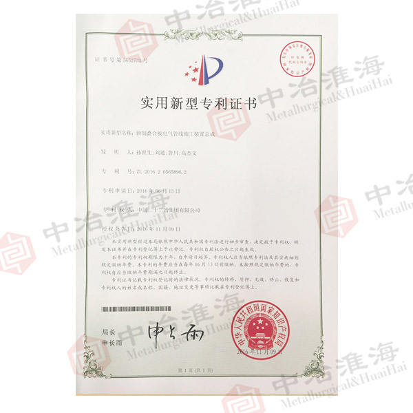 专利号：ZL-2016-2-0565896.2